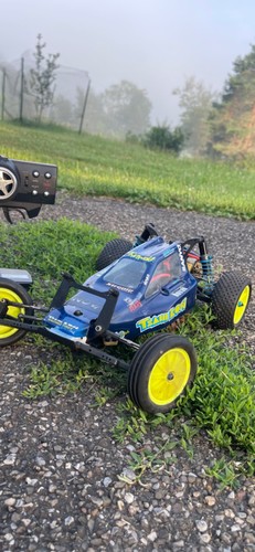 Team losi racing kinwald - racing,
