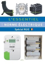 David Fedullo Thierry Gallauziaux L'essentiel de la norme électrique (Paperback)