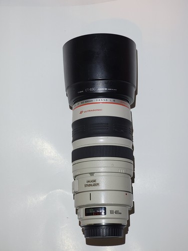 Canon 100 400mm 5 - canon, 100-400mm