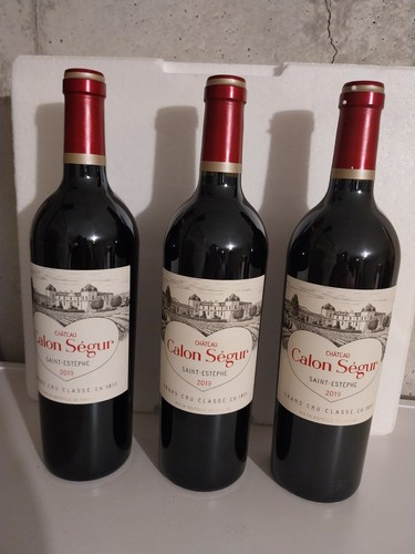 Château calon ségur - 3,