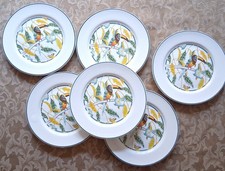 6 assiettes à dessert anciennes décor Toucan