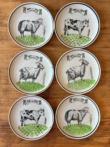 Lot assiettes fromage - lot,