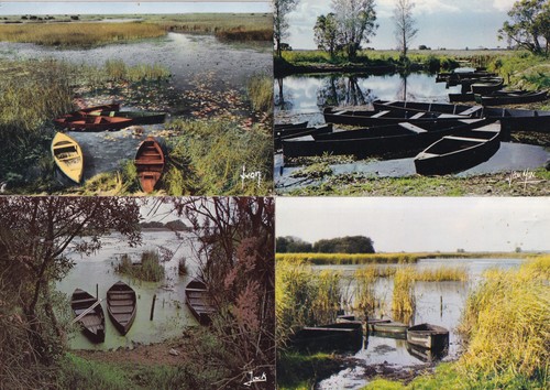 Lot cartes postales - cartes,