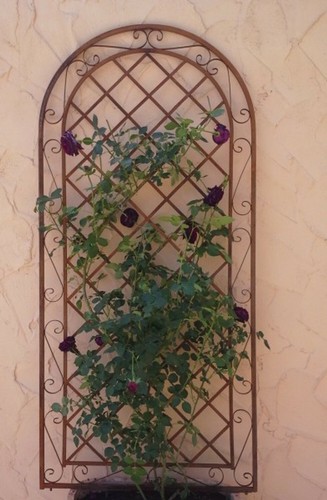 Treillis jardin écran de - jardin,