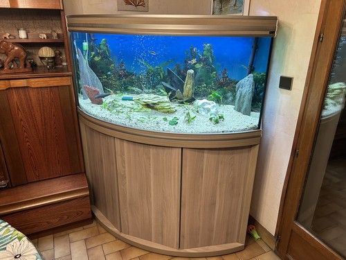 Aquarium avec meuble - aquarium,