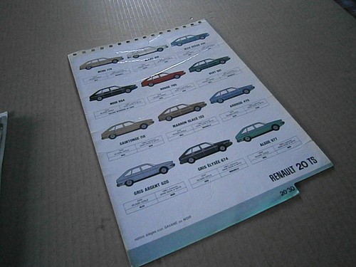 Renault color dyer - r,