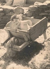 OLD PHOTOGRAPH 1953 GIRL IN A WOODEN WHEELBARROW