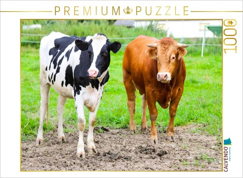 Puzzle calvendo silas un - puzzle,