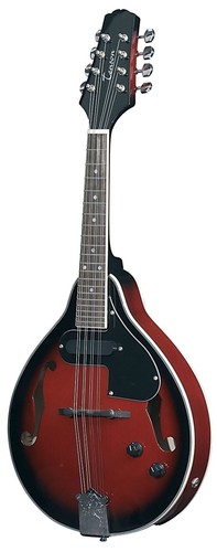 Mandoline electro acoustique - , electro-acoustique