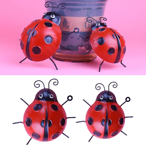 Rouge fer coccinelle - rouge, insectes