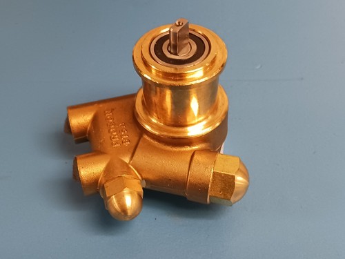 Rotary vane pump series - vane, 1