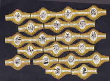 Série  Bague de Cigare