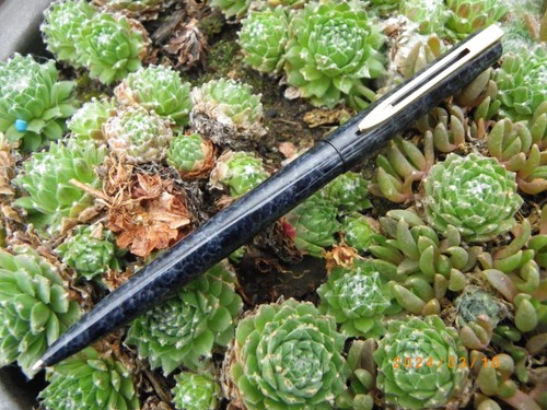 Ancien stylo bille waterman - ancien,