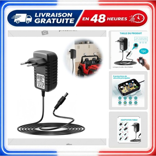 Chargeur 800 ma voiture - 6,