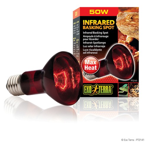 Exo terra spot chauffage - exo,