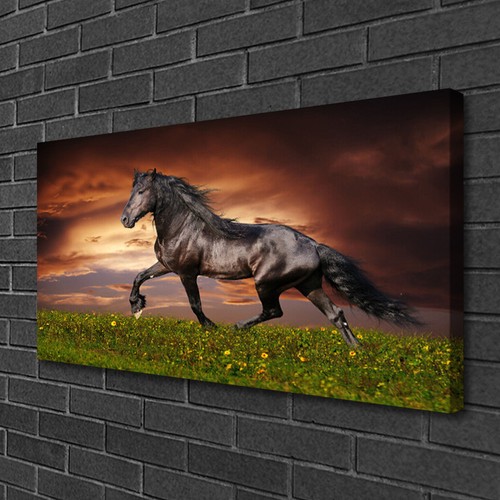 Photo sur toile image tableau - sur,