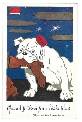 Chien bouledogue anglais - anglais,