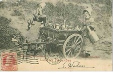 BELGIUM. FLAMAND DAIRY