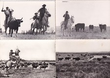 Lot de 4 cartes postales