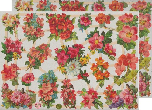 Chromo découpis fleurs - ef,