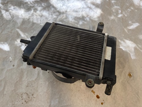 Radiateur daelim 125 - daelim,