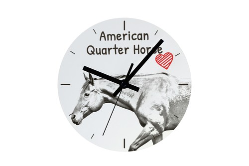 Montre quarter horse - quarter,