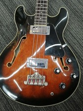 Basse semi acoustique Aria Pro