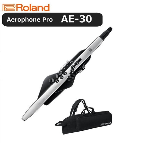 Roland aerophone pro - ae-30,