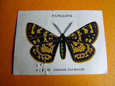 CHROMO 1939 BUTTERFLY BUTTERFLY CASINO #19 FIDONIE FEATHER
