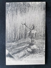 Old postcard Chasse à Courre d'Ermenonville - Bat l'eau dans l'étang