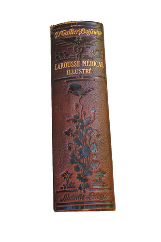 Larousse médical illustré
