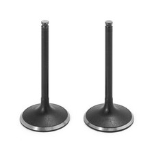 1 Paire Soupape d'admission