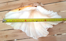 Art Populaire Rarissime