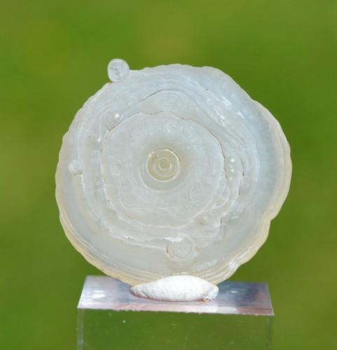Calcédoine guttulaire 2 - calcédoine, 6.2