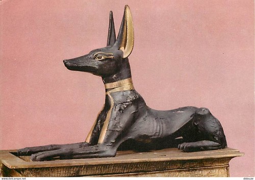 Carte postale egypte - postale,