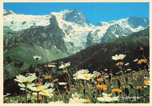 Meije le rateau - meije,
