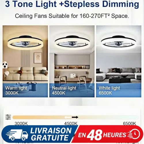 Ventilateur plafond 50cm - ventilateur,