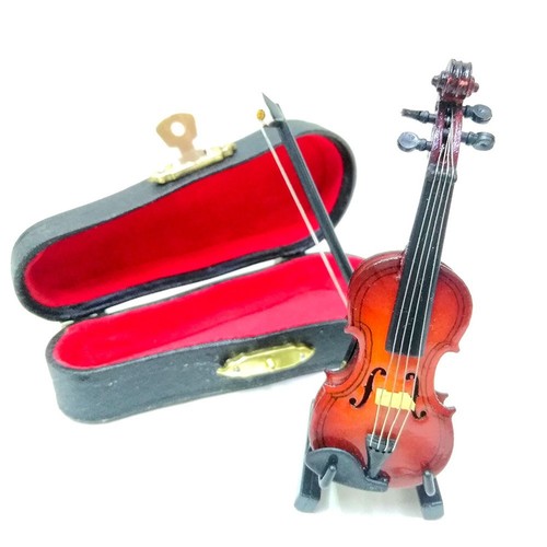 Plus petit violon - ,
