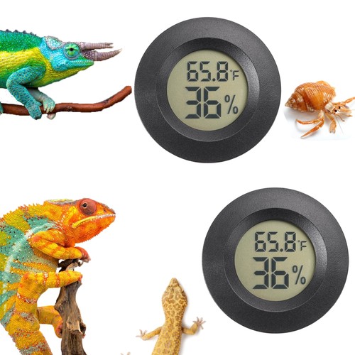 Reptile thermometer and - thermometer,