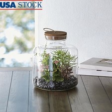 Indoor Glass Terrarium W/ Cork