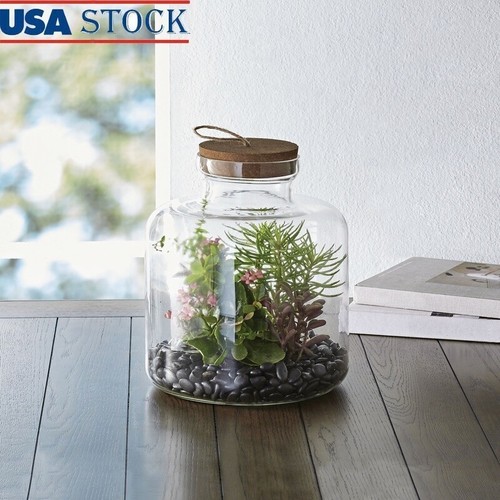 Indoor glass terrarium cork - glass, w/