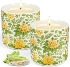 2 Pièces Bougie Citronnelle