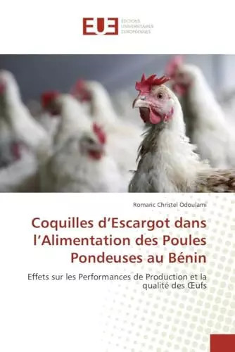 Coquilles escargot dans - d’escargot,