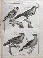 Le Chardonneret Le Pincer