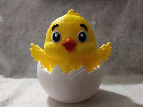 Poussin dans coquille - poussin,