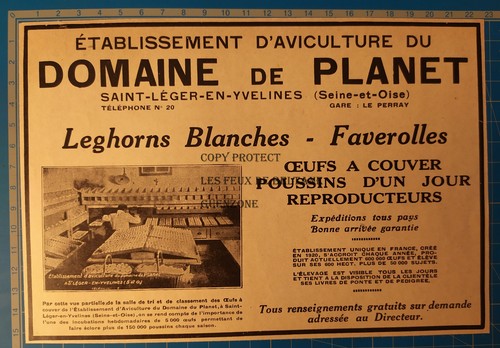 Domaine planet poules - domaine,