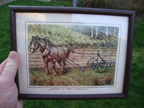 Ardennes gouache aquarelle - gouache,