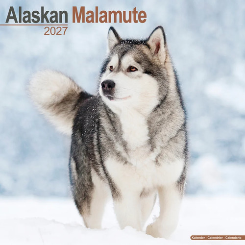 Calendrier 2027 alaskan - calendrier,