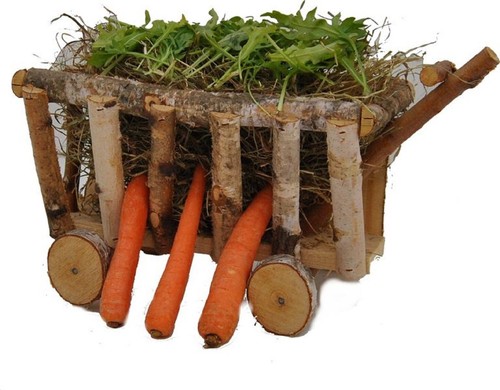 Xxl bois naturel bouleau - bois,