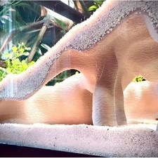 Aspect naturel aquarium terrarium coin cachette fausse mangrove racine accessoir